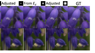 Contrastive Learning for Controllable Blind Video Restoration